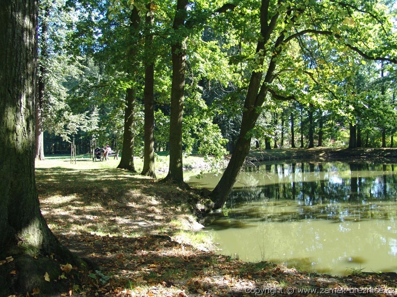 Z�mek B�eznice - z�meck� park - u rybn�ka