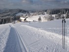 Zima - běžecká stopa, Gruň 
(klikni pro zvětšení)