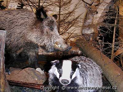 St�l� v�stava Fauna �R