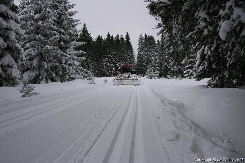 LY�A�SK� ARE�L ZADOV