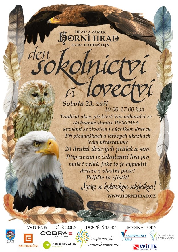 Stáhnout velké ptáky