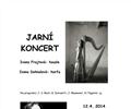 Jarn koncert