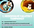 1. neofici�ln� vala�sk� �ampion�t