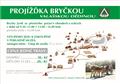 Proj��ka bry�kou vala�skou d�dinou
