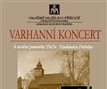 Varhann koncert