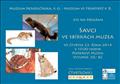 �tvrte�n�ci: Savci ve sb�rk�ch muzea