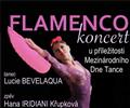 Temperamentn a podmaniv Flamenco ve vech podobch