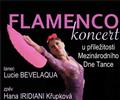 Temperamentn� a podmaniv� Flamenco ve v�ech podob�ch