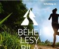 B�hej lesy B�l�