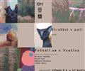 M�stsk� galerijn� prostory zah�j� rok 2016 v�stavou tvorby vset�nsk�ch v�tvarn�k� i dokument�rn�ch fotografi� z�cest po Africe