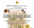 Zeliny v lidov�m l��en�