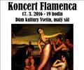P�ij�te si vychutnat temperamentn� a podmaniv� flamenco ve v�ech podob�ch
