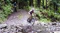 Cream Bike �eladn� 2016