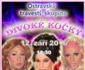 Divok� ko�ky