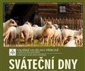 Sv�te�n� dny v muzeu