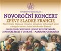 Novoron koncert, "Zpvy sladk francie"