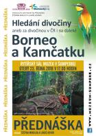 Hledn divoiny aneb za divoinou v R i na dalek Borneo a Kamatku 