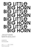 BIG LITTLE BIG HORN - Jakuba Tome a Martina Skalickho