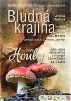 Bludn krajina