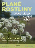   Plan rostliny jako jdlo, koen i lk