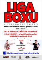 Liga boxu