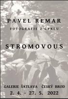 Vstava fotografi Pavla Remara - Stromovous