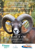 Tom Vlask: Tajemstv prody