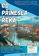 Co pinesla eka