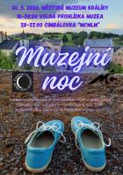 Muzejní noc