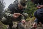 Chcete stopovat vlky a rysy? Hnut� DUHA �elmy hled� nov� dobrovoln�ky  